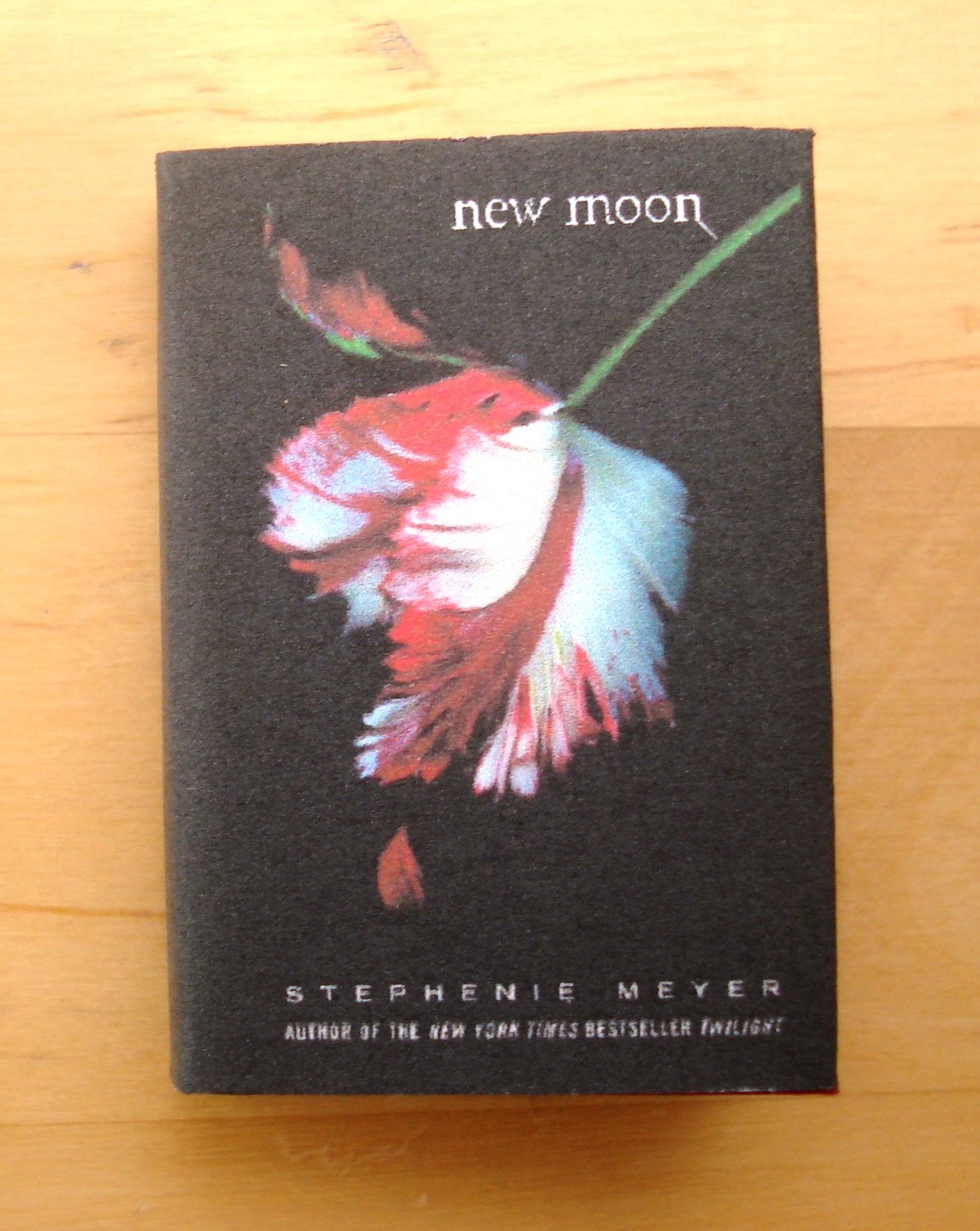 MINI LIVRE NEW MOON