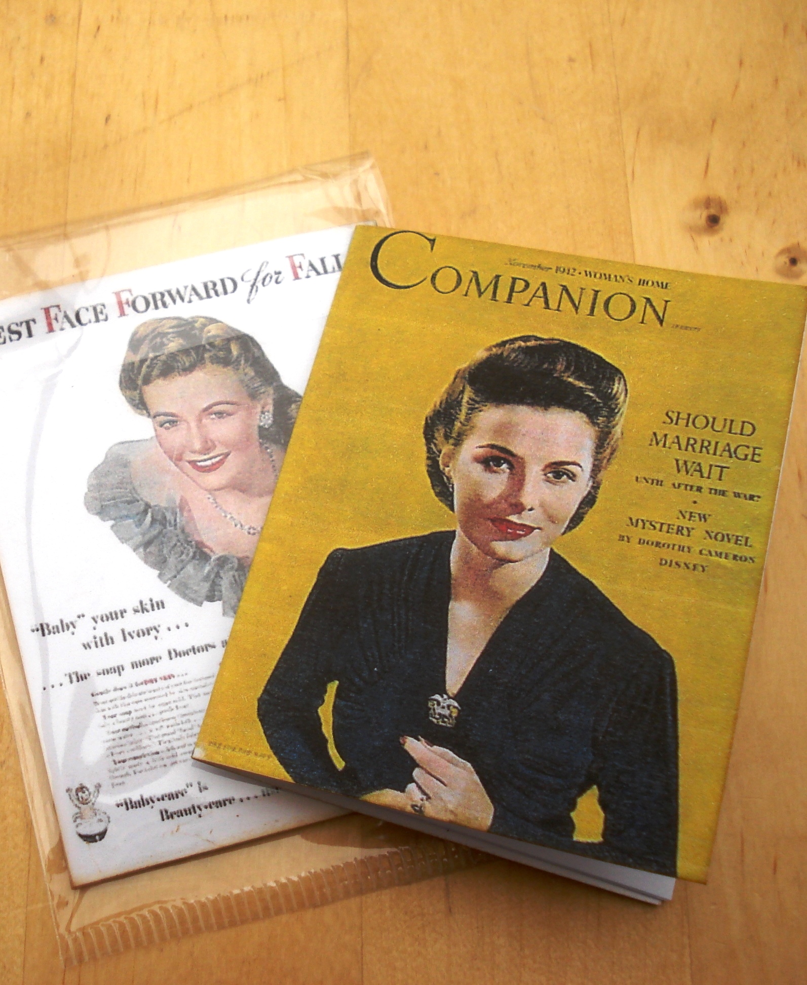 MINI COMPANION MAGAZINE JAUNE  l'chelle GENE