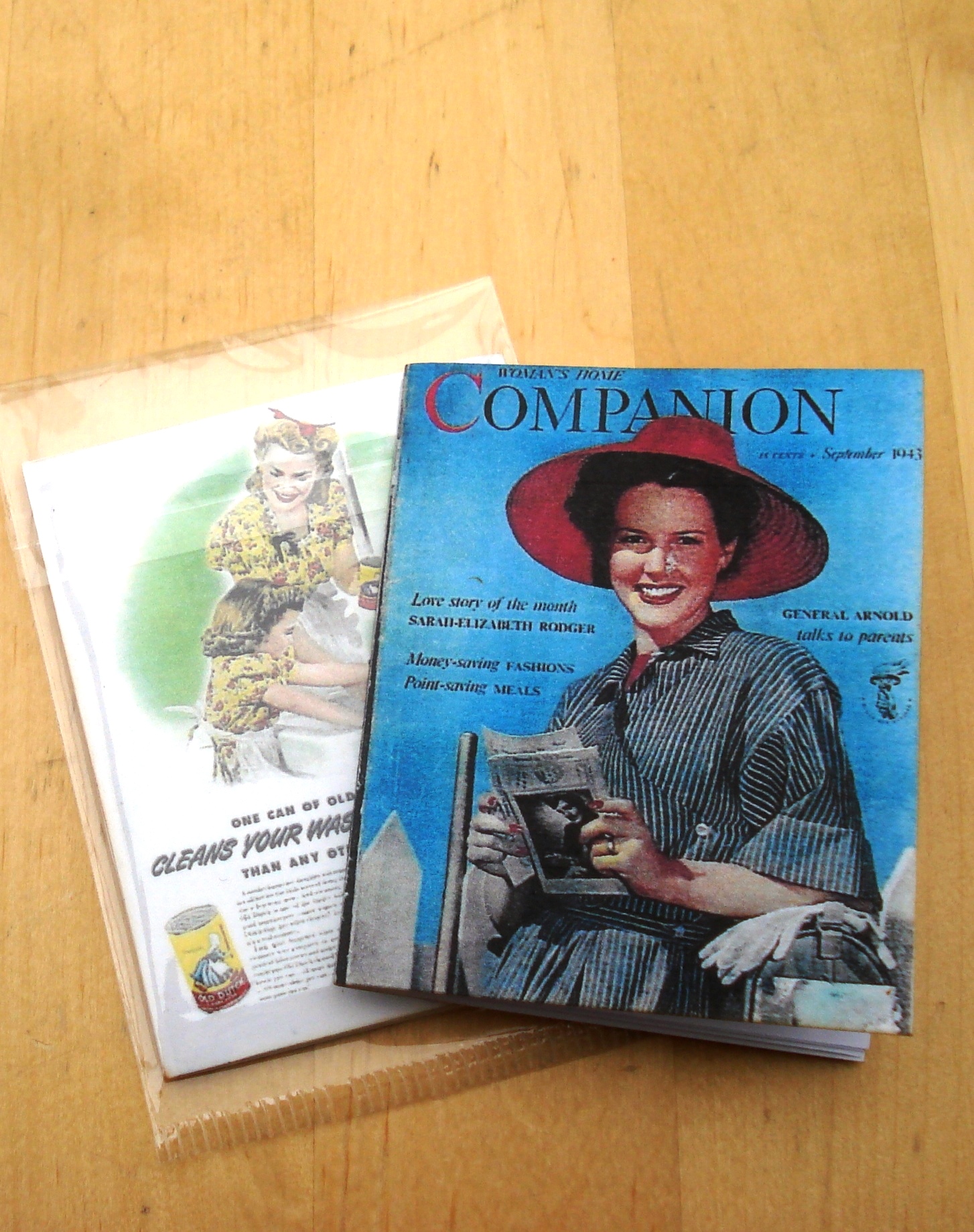 MINI COMPANION MAGAZINE BLUE  l'chelle GENE